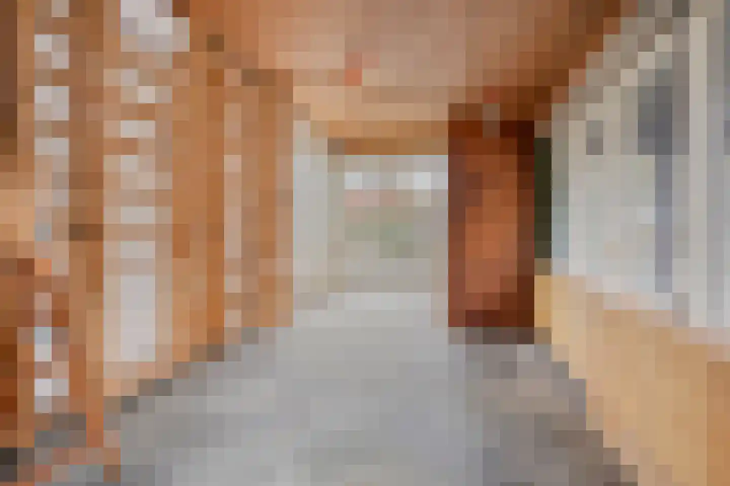 Magnoliastraat 22 Hengelo thumbnail 33
