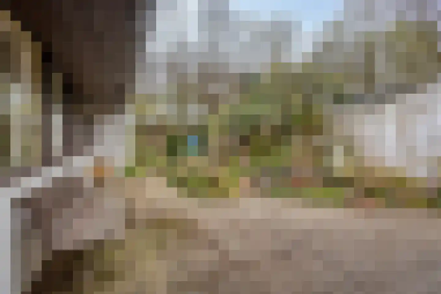 Magnoliastraat 22 Hengelo thumbnail 36