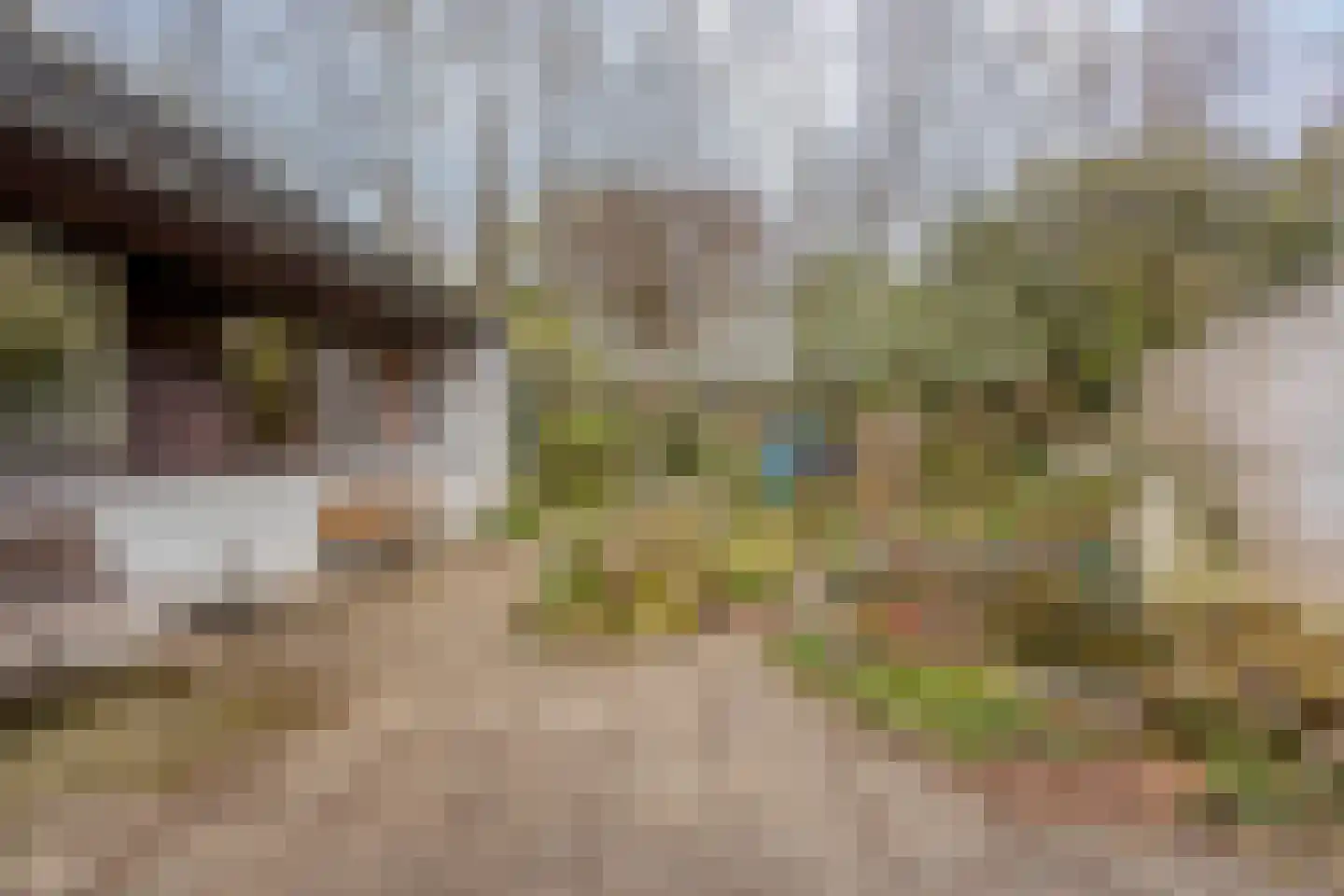 Magnoliastraat 22 Hengelo thumbnail 37