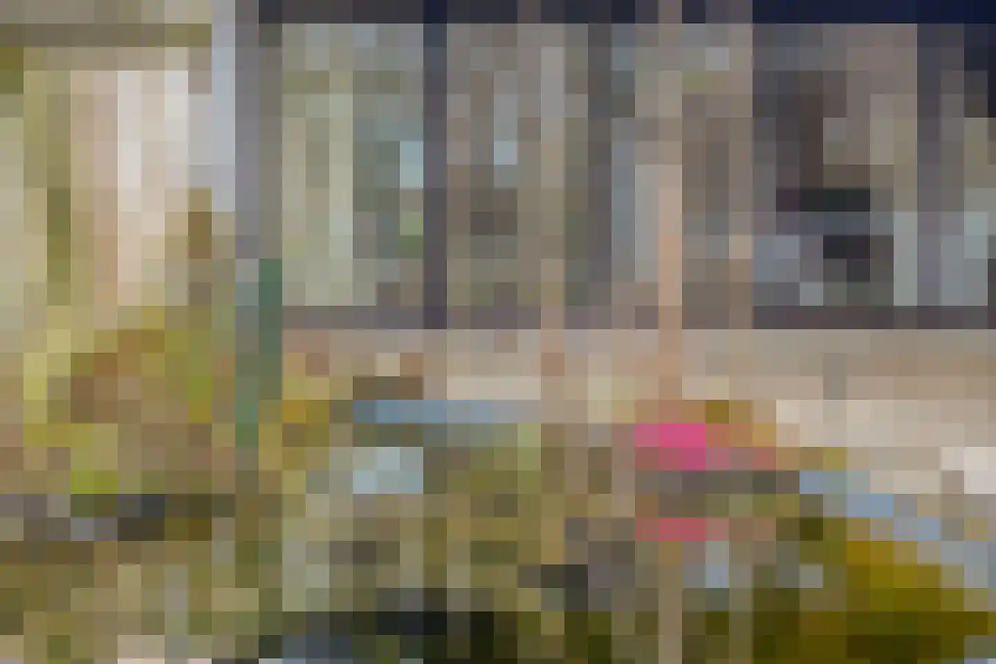 Magnoliastraat 22 Hengelo thumbnail 39