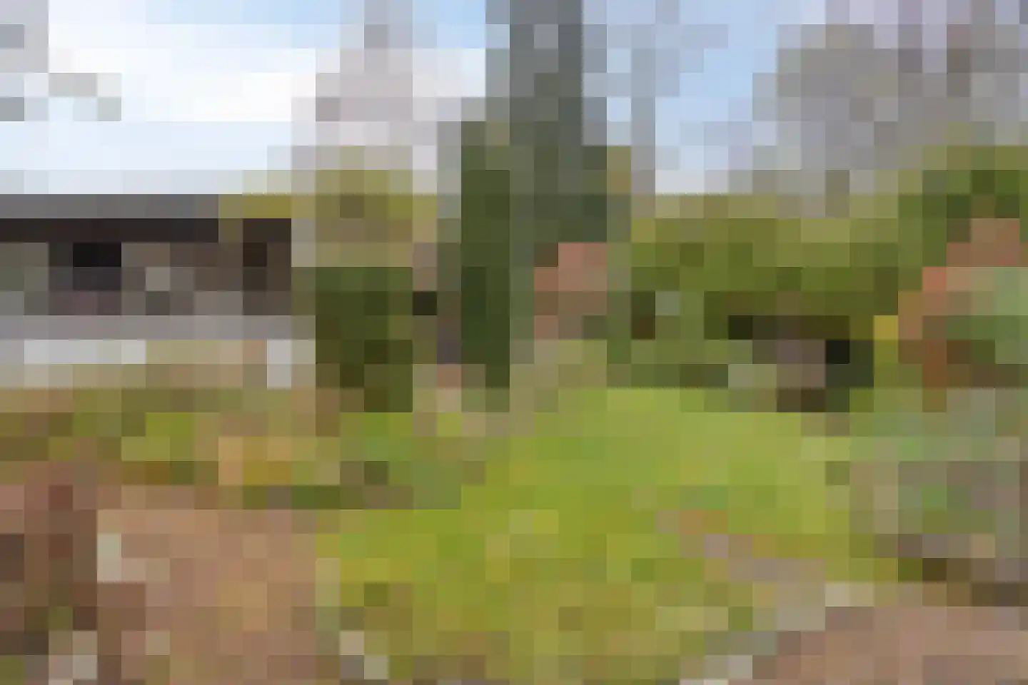 Magnoliastraat 22 Hengelo thumbnail 40