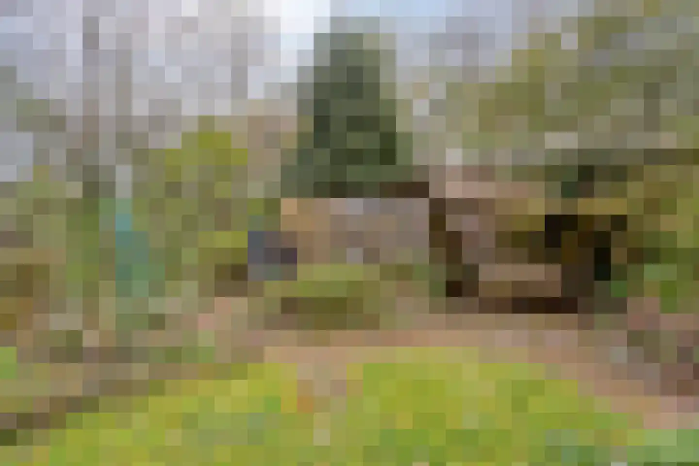 Magnoliastraat 22 Hengelo thumbnail 41