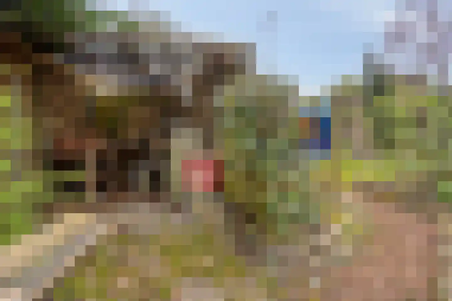Magnoliastraat 22 Hengelo thumbnail 44