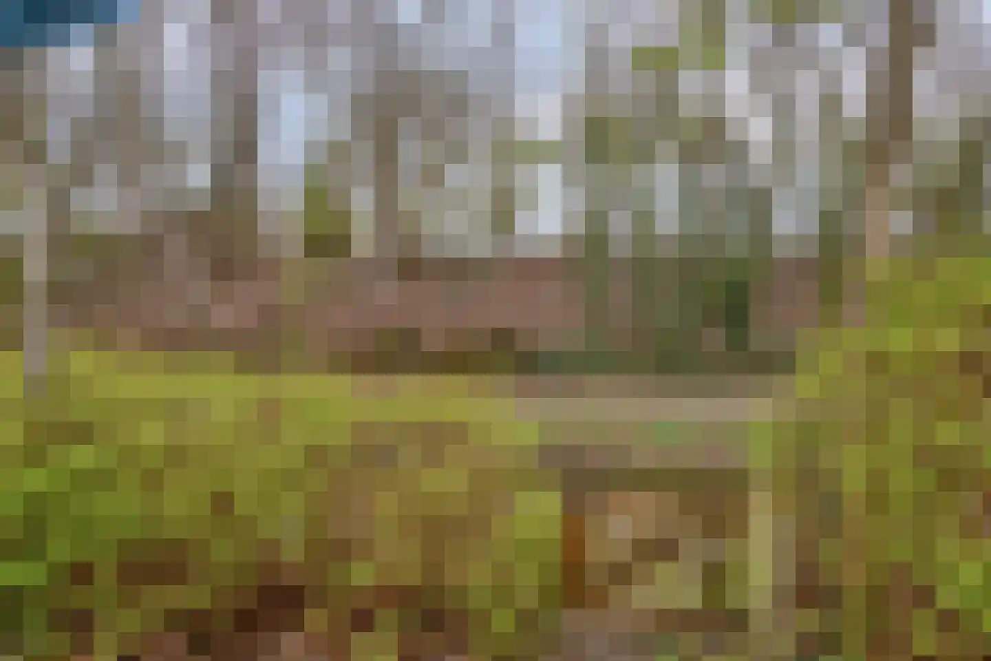 Magnoliastraat 22 Hengelo thumbnail 45