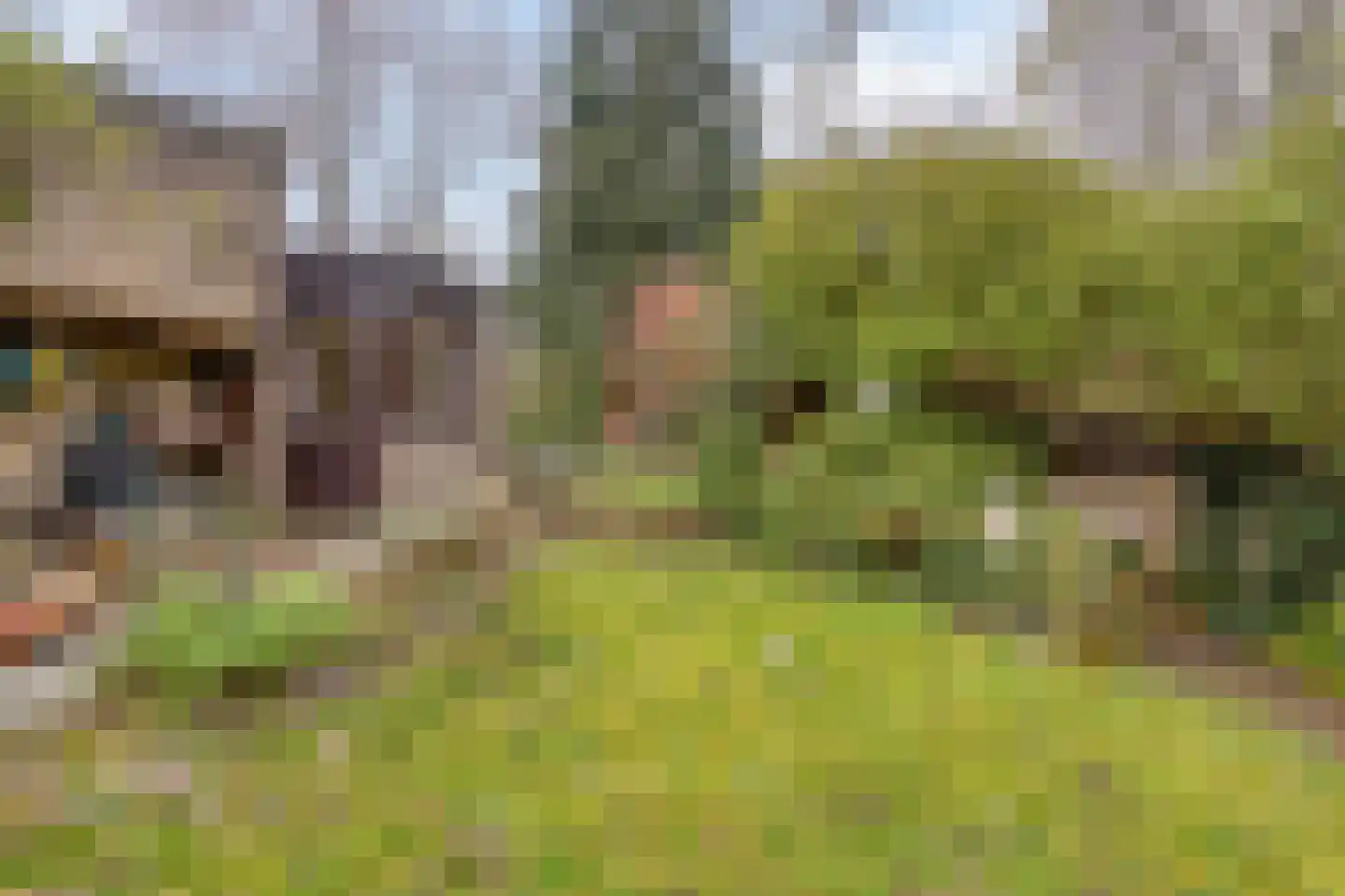 Magnoliastraat 22 Hengelo thumbnail 47