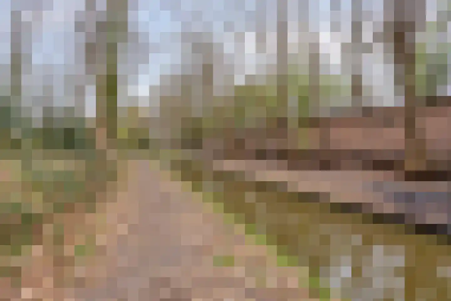 Magnoliastraat 22 Hengelo thumbnail 52