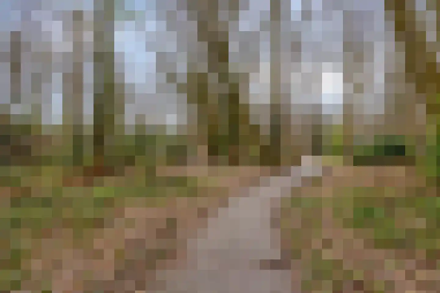 Magnoliastraat 22 Hengelo thumbnail 53