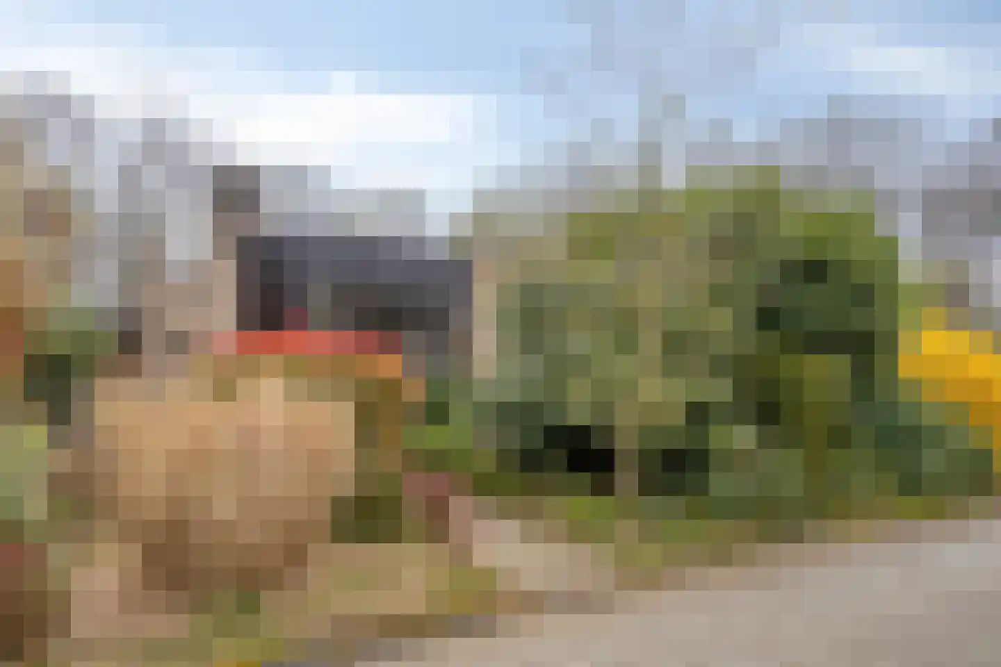 Magnoliastraat 22 Hengelo thumbnail 7