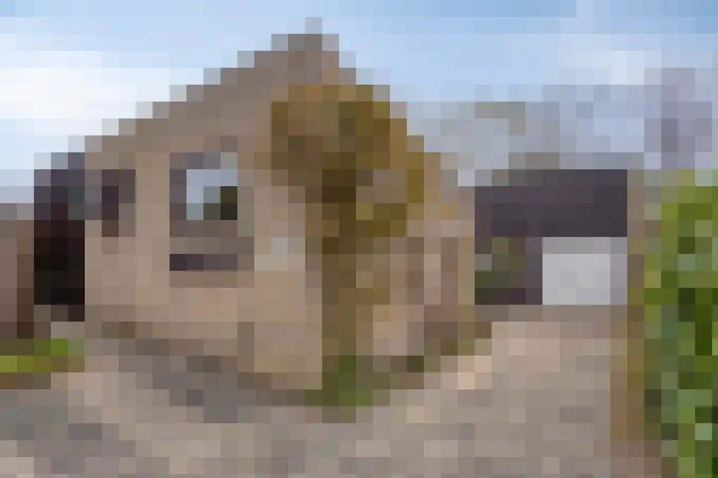 Magnoliastraat 22 Hengelo thumbnail 9