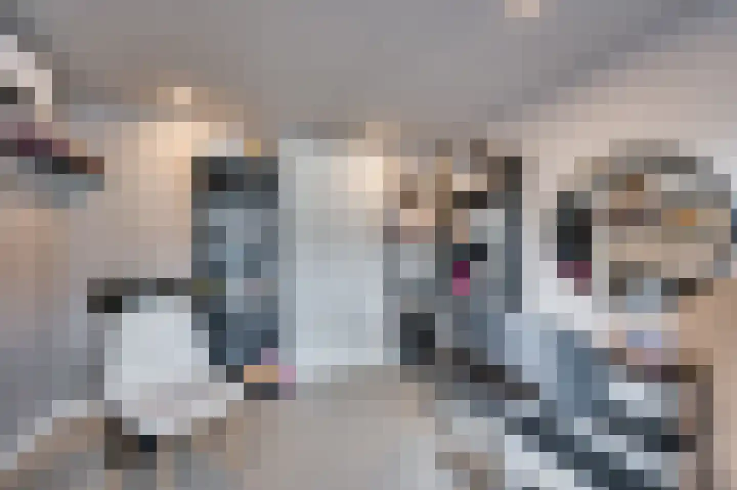 Magnoliastraat 25 Venlo thumbnail 28