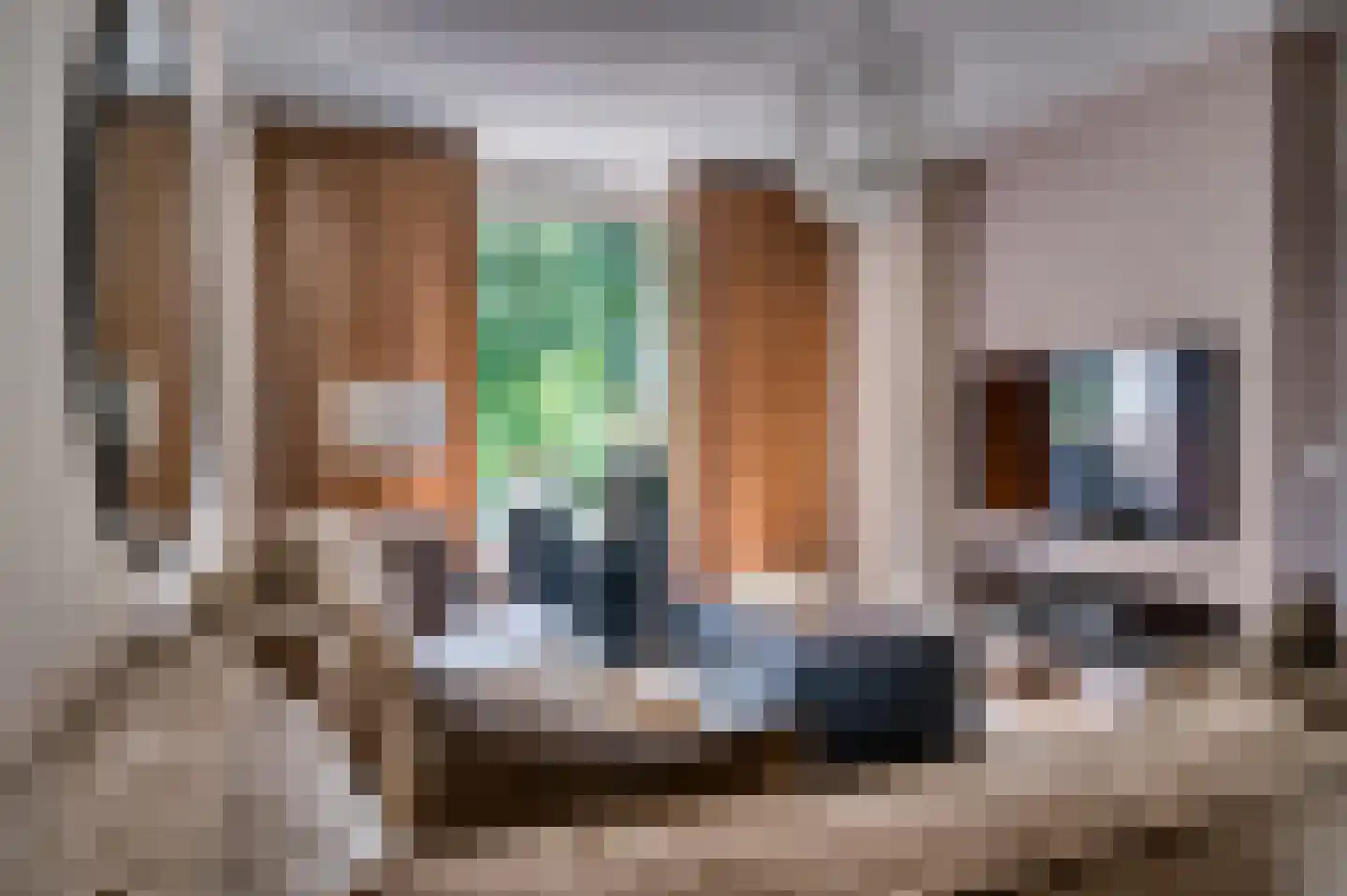 Magnoliastraat 25 Venlo thumbnail 7