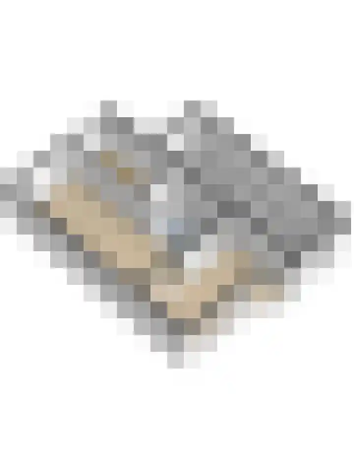 Magnoliastraat 28 Puttershoek thumbnail 46