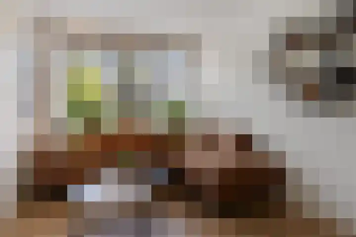 Magnoliastraat 3 Borne thumbnail 10