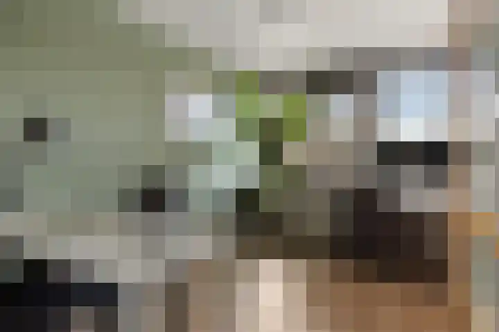 Magnoliastraat 3 Borne thumbnail 29