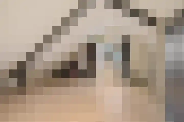 Magnoliastraat 3 Borne thumbnail 39