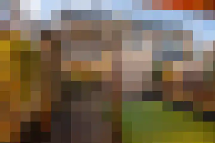 Magnoliastraat 3 Borne thumbnail 47