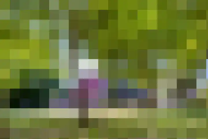 Magnoliastraat 3 's-Gravenpolder thumbnail 24