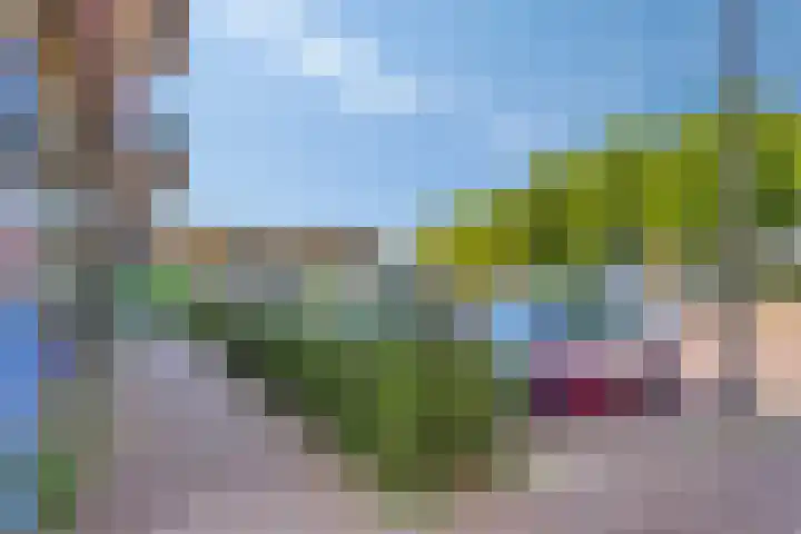 Magnoliastraat 3 's-Gravenpolder thumbnail 25