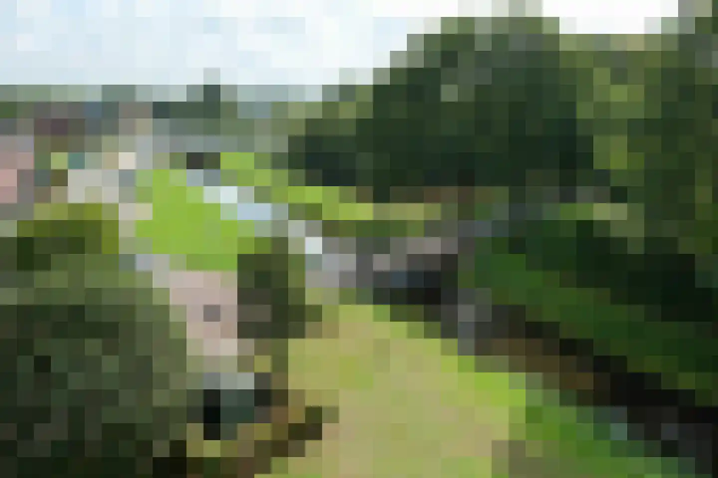 Magnoliastraat 30 Almelo thumbnail 20