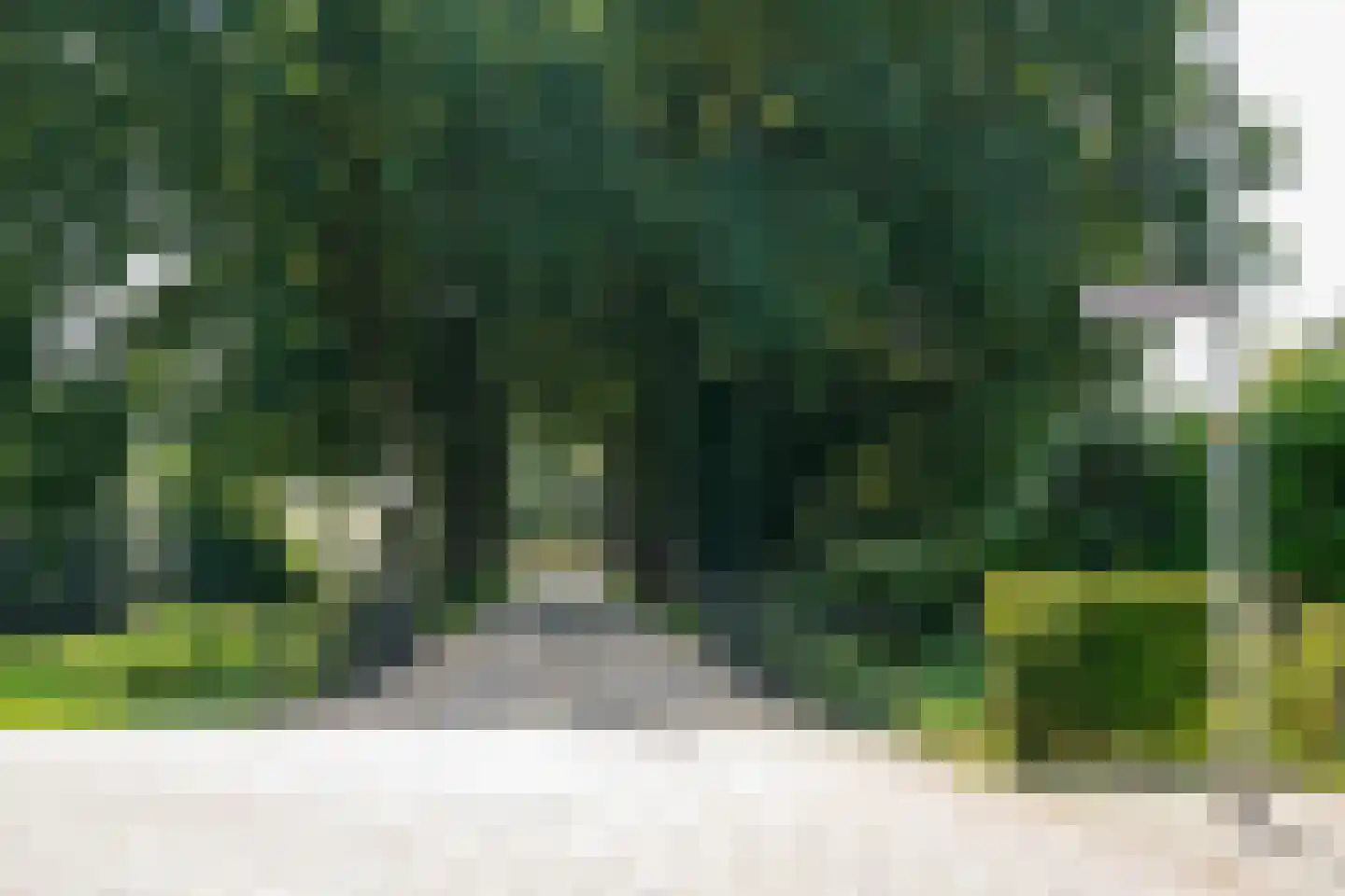 Magnoliastraat 30 Almelo thumbnail 30