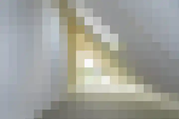 Magnoliastraat 35 Lisserbroek thumbnail 29