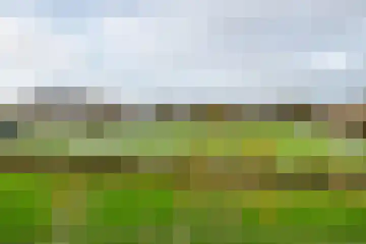 Magnoliastraat 35 Lisserbroek thumbnail 33
