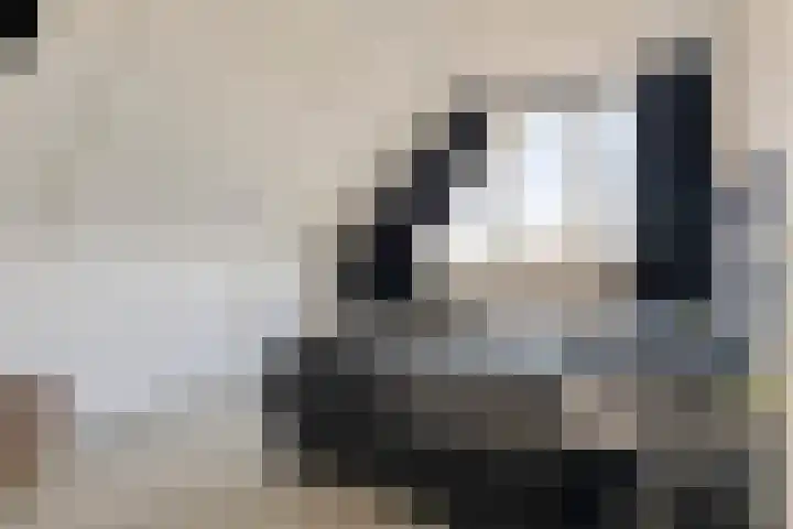 Magnoliastraat 37 Lisserbroek thumbnail 20