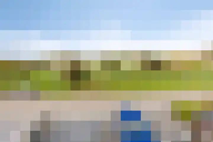 Magnoliastraat 37 Lisserbroek thumbnail 23