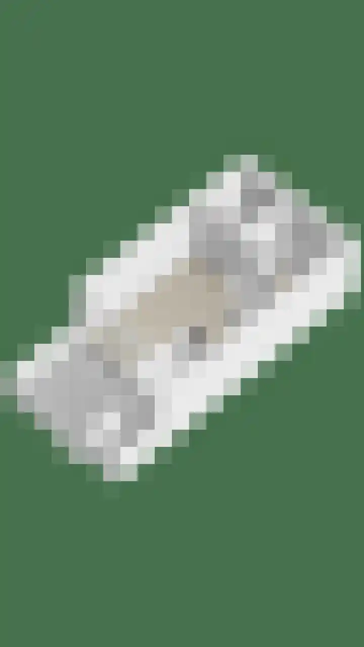 Magnoliastraat 37 Lisserbroek thumbnail 32