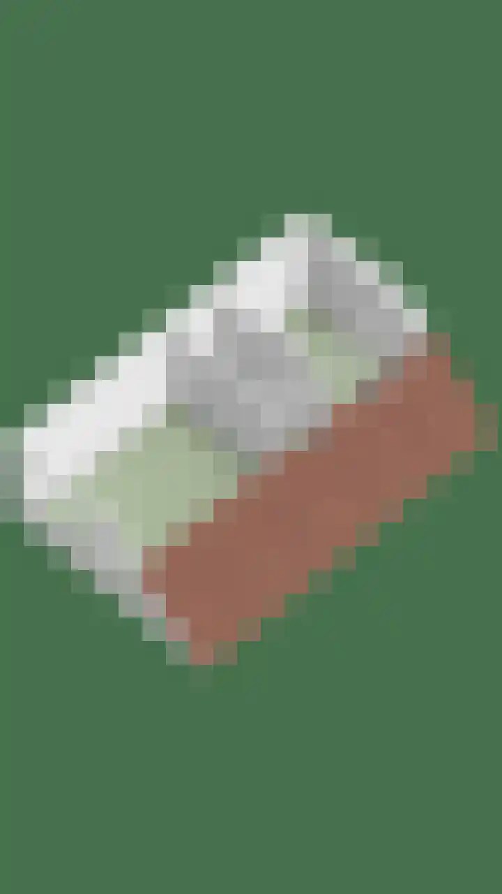 Magnoliastraat 37 Lisserbroek thumbnail 33