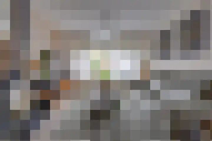 Magnoliastraat 37 Musselkanaal thumbnail 14