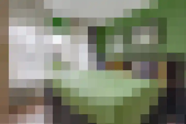 Magnoliastraat 37 Musselkanaal thumbnail 21