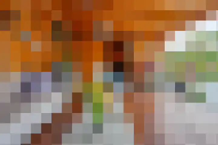 Magnoliastraat 37 Musselkanaal thumbnail 34