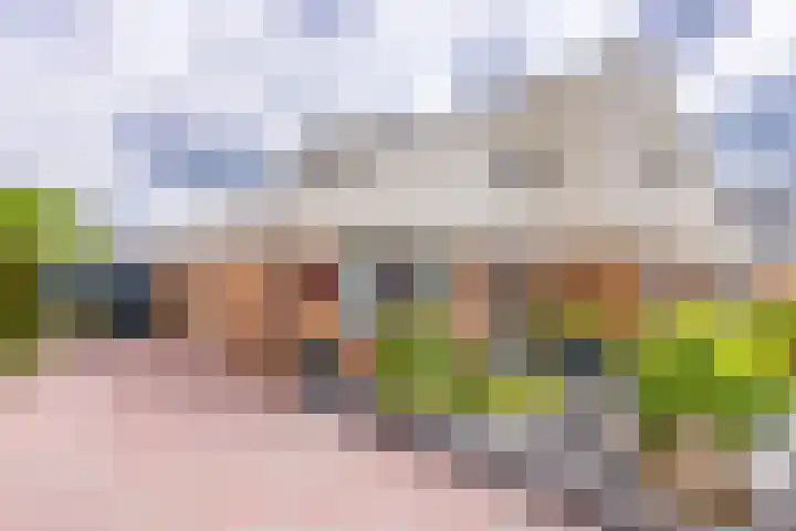 Magnoliastraat 37 Musselkanaal thumbnail 6