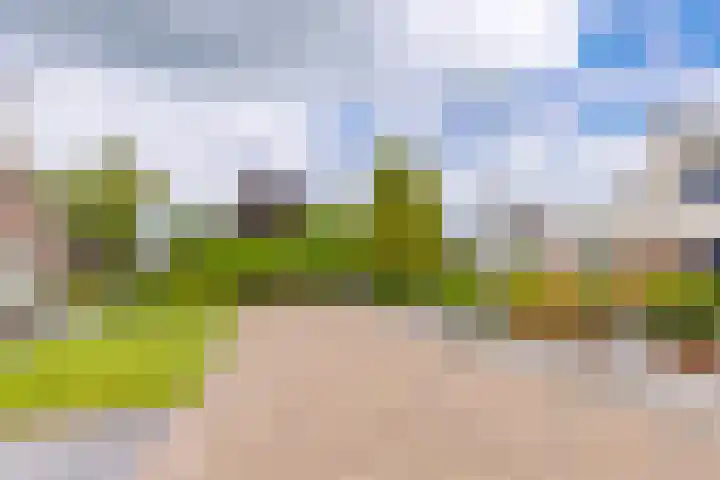 Magnoliastraat 37 Musselkanaal thumbnail 8