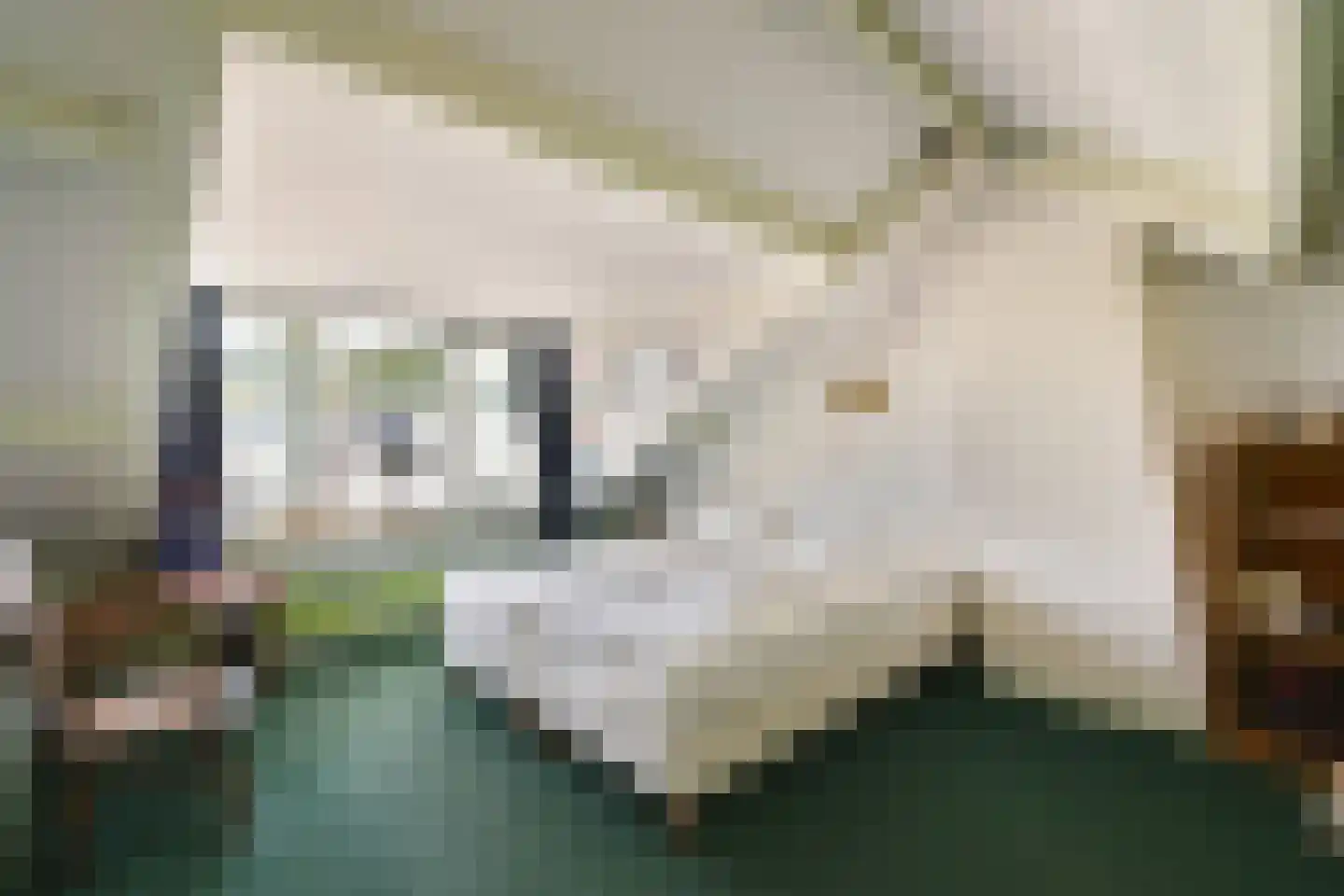 Magnoliastraat 4 Dordrecht thumbnail 22