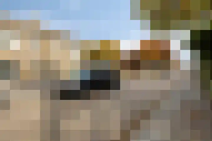 Magnoliastraat 40 Drunen thumbnail 24