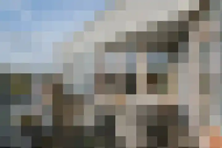 Magnoliastraat 46 Almelo thumbnail 30
