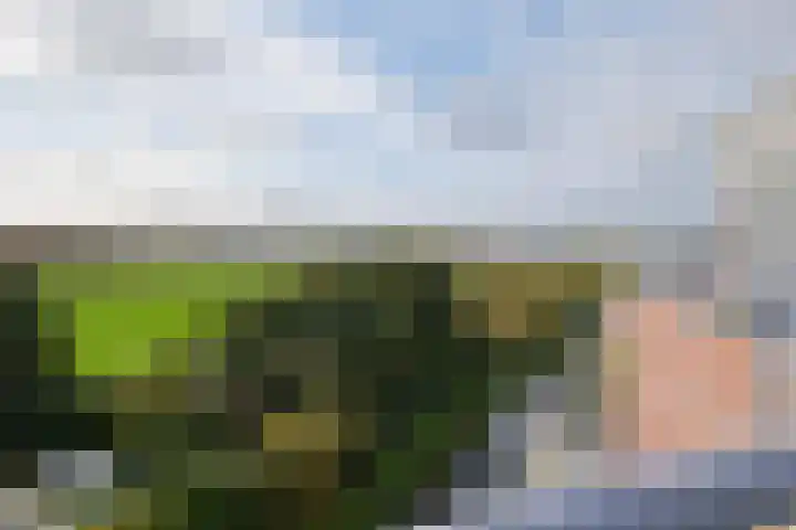 Magnoliastraat 46 Almelo thumbnail 33