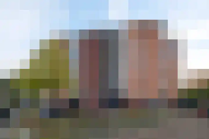 Magnoliastraat 46 Almelo thumbnail 34