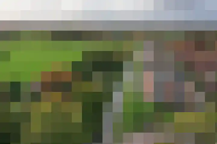 Magnoliastraat 46 Almelo thumbnail 36