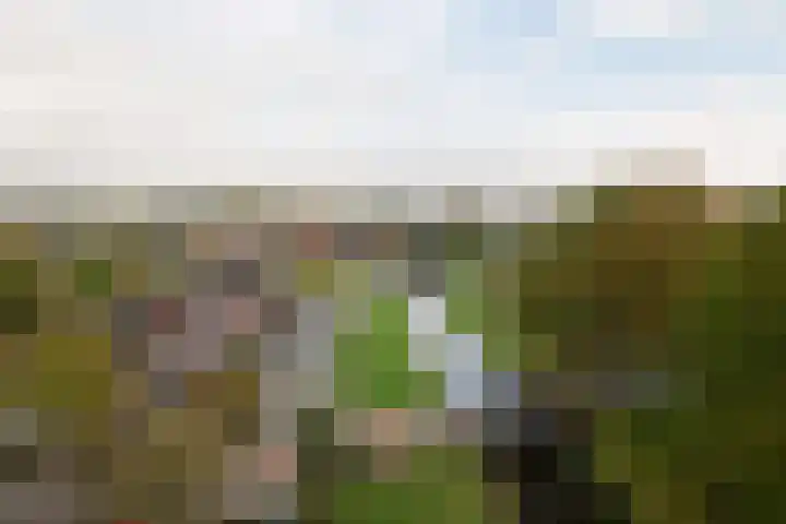 Magnoliastraat 46 Almelo thumbnail 38