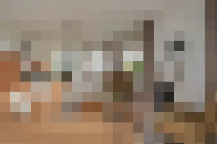 Magnoliastraat 46 Almelo thumbnail 8