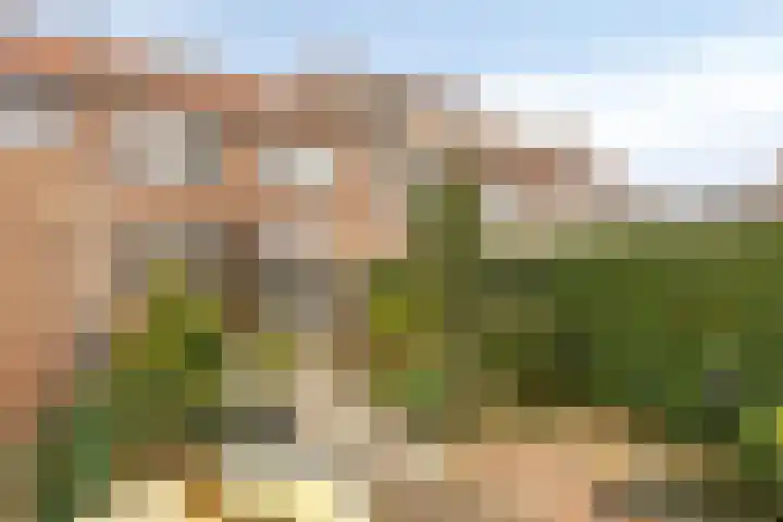 Magnoliastraat 47 IJsselmuiden thumbnail 32