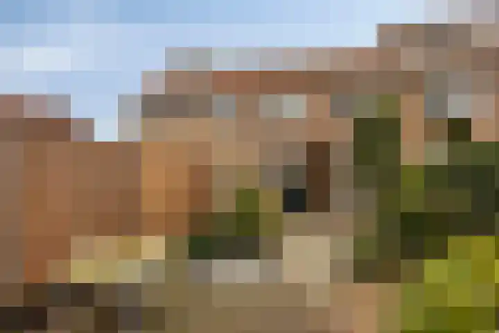Magnoliastraat 47 IJsselmuiden thumbnail 33