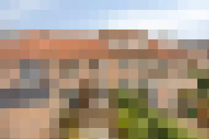 Magnoliastraat 47 IJsselmuiden thumbnail 35