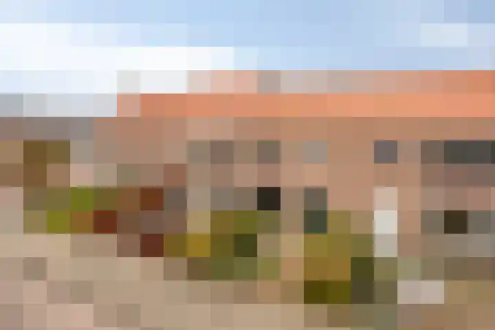 Magnoliastraat 47 IJsselmuiden thumbnail 8