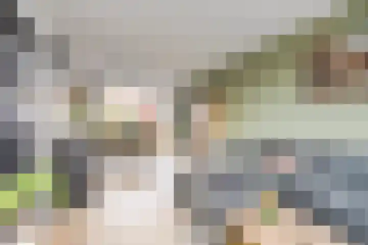 Magnoliastraat 47 Neede thumbnail 11