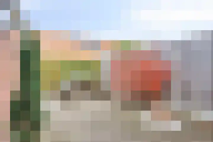 Magnoliastraat 47 Neede thumbnail 29