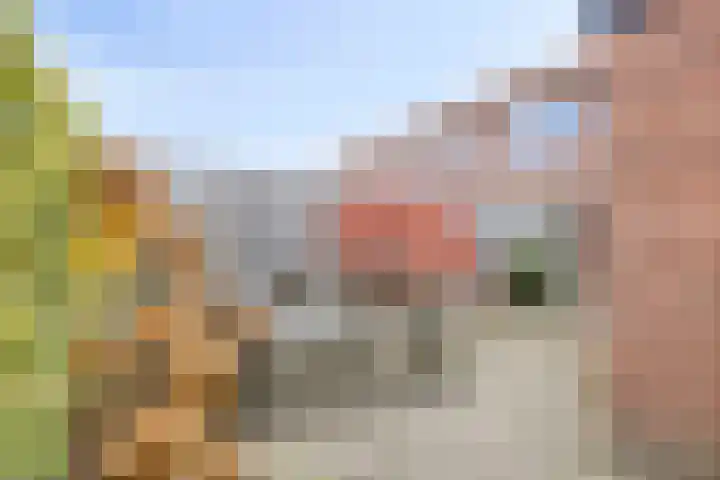 Magnoliastraat 47 Neede thumbnail 30